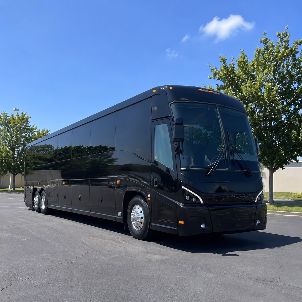 Elizabeth School Event & Field Trip Transportation